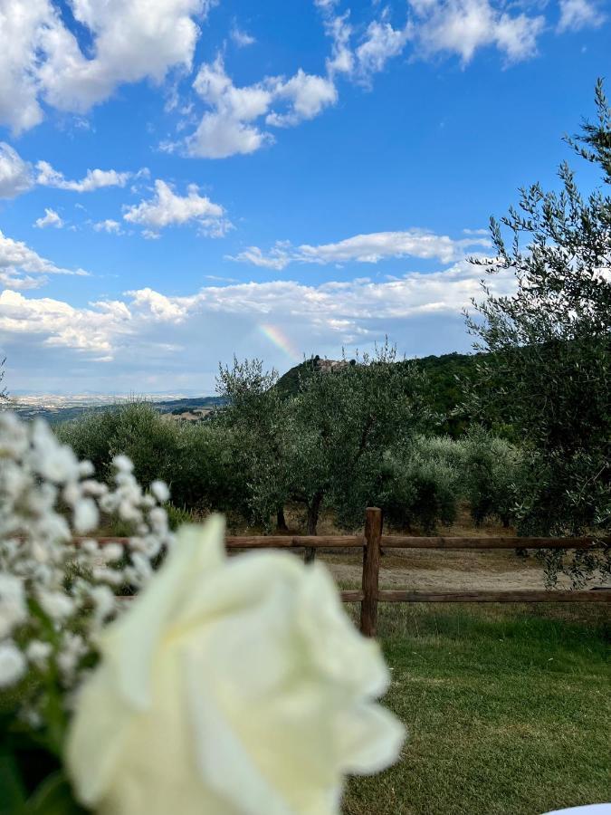 Agriturismo Belagaggio Montefollonico ภายนอก รูปภาพ