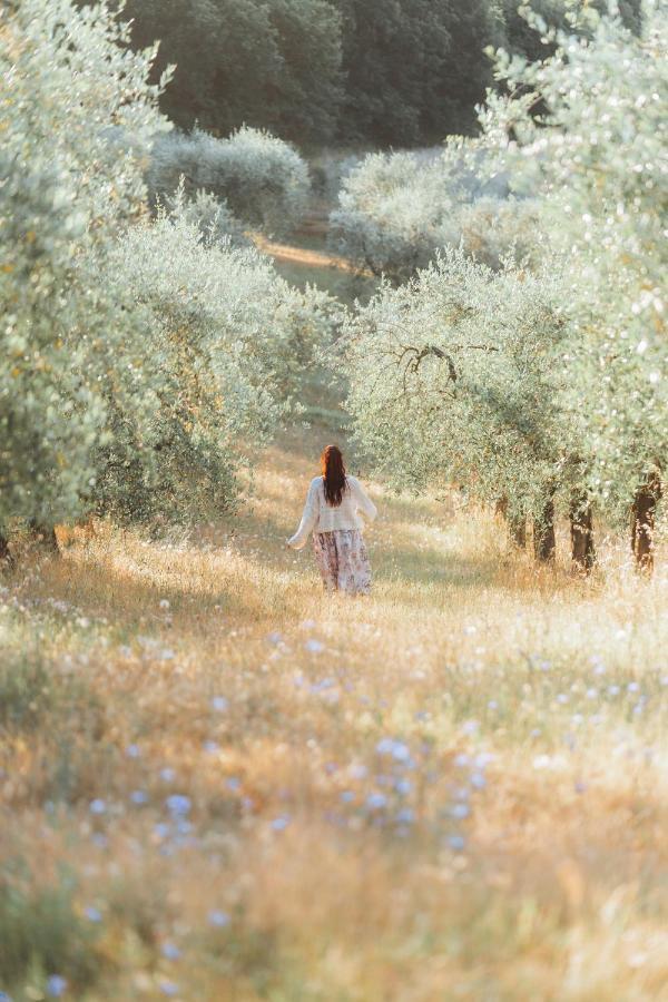 Agriturismo Belagaggio Montefollonico ภายนอก รูปภาพ